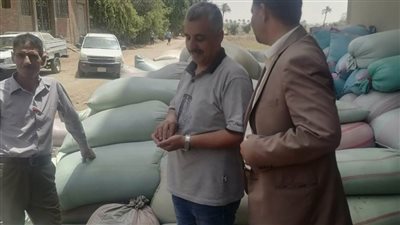 ضبط 120 طنا من محصول القمح بهدف الاحتكار بمركزي أبو قرقاص والمنيا