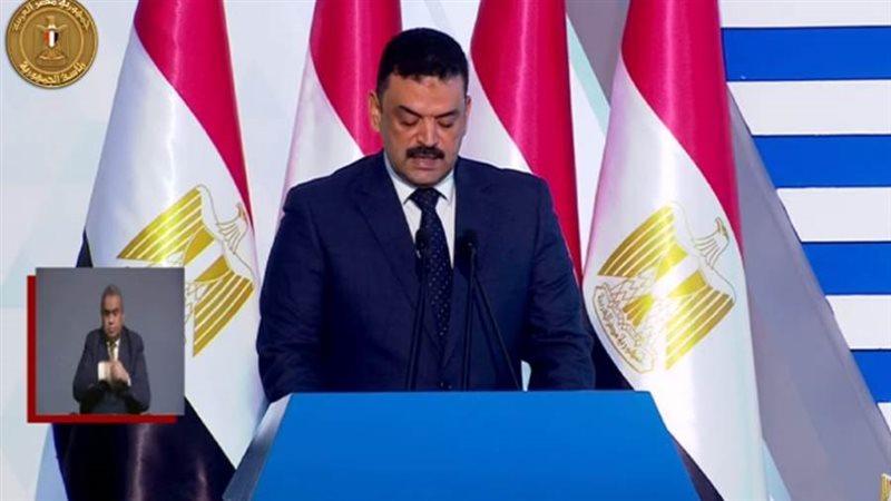 رئيس الهيئة المصرية