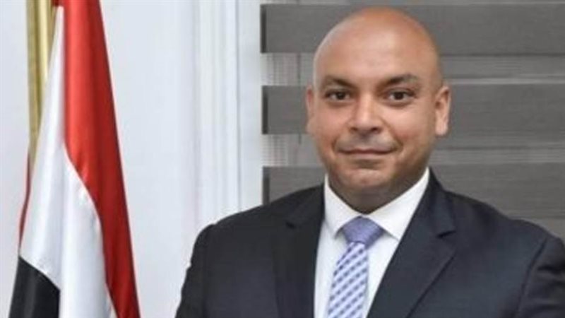 النائب محمود القط