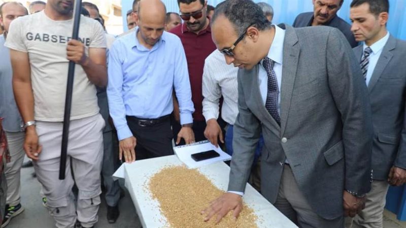 توريد محصول القمح