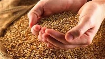 ضبط ٢٧ طن قمح وسلع مدعمة وتحرير 58 مخالفة تموينية بالدقهلية