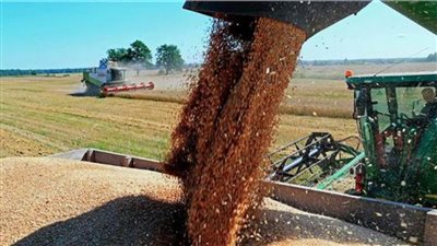 وزارة الزراعة الأوكرانية: صدرنا أكثر من 44 مليون طن من الحبوب من يوليو 2022 وحتى الآن