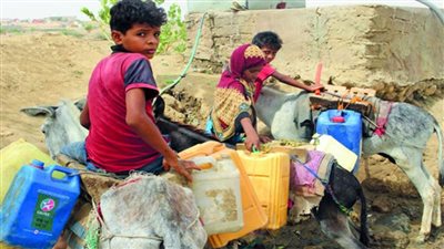 تحذير أممي عاجل بشأن الأمن الغذائي في اليمن 