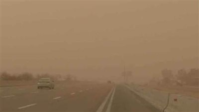 عواصف ترابية وأمطار طفيفة في الوادي الجديد .. والمحافظة ترفع درجة الاستعداد