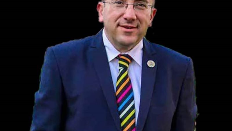 الدكتور محمد الغمري