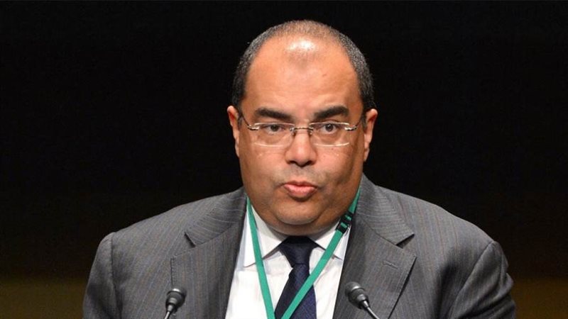 الدكتور محمود محيي