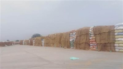 توريد 261 ألف طن قمح لشون وصوامع محافظة البحيرة