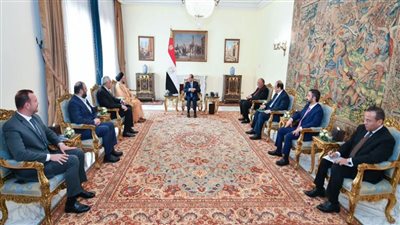 الرئيس السيسي يؤكد حرص مصر على سلامة وأمن واستقرار العراق