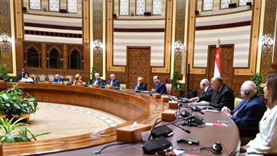 الرئيس السيسي يلتقي أعضاء مجلس أمناء مكتبة الإسكندرية