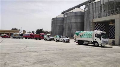 توريد 535 ألفا و791 طنا من القمح لصوامع وشون الشرقية