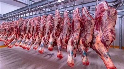 عاجل.. الزراعة: طرح كميات من اللحوم بسعر 225 جنيهًا للكيلو 
