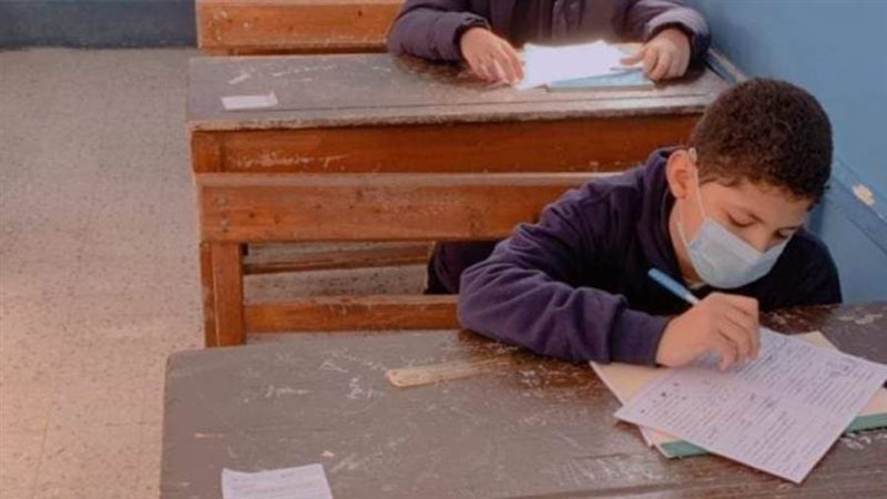 المدارس التجريببه