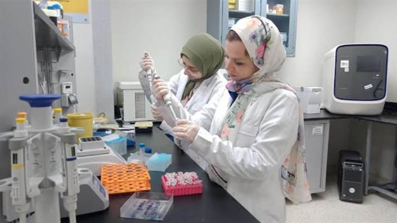 الباحثين خلال إجراء