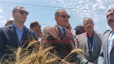 زراعة 215 ألف فدان قمح بكفر الشيخ