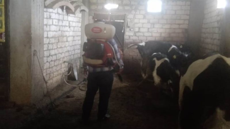 تحرير 13 محضر وضبط