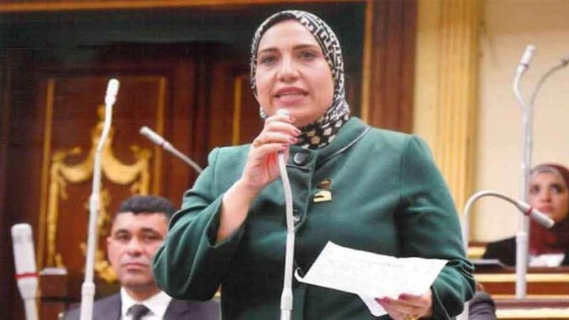 النائبة سكينة سلامة