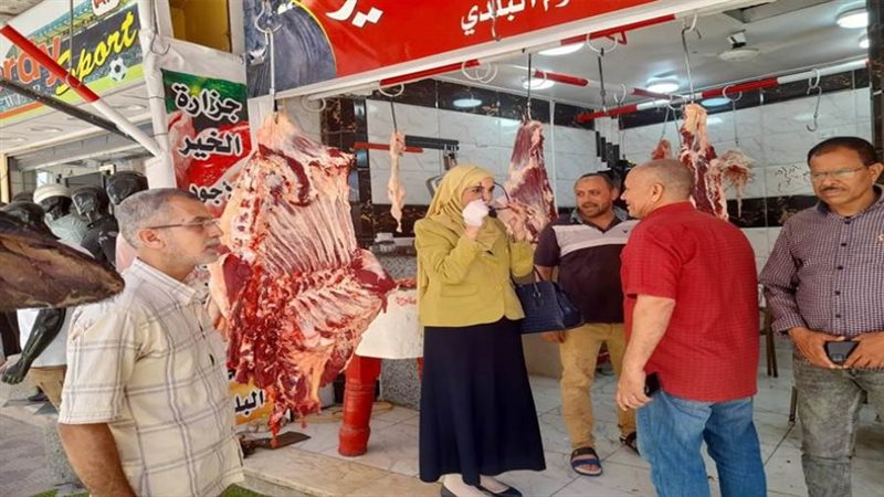 الاستعدادات لاستقبال