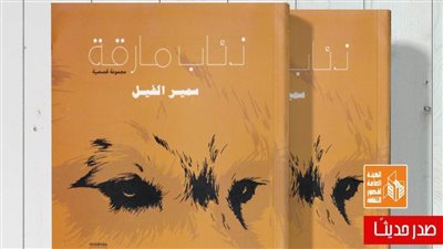«ذئاب مارقة».. مجموعة قصصية جديدة للأديب سمير الفيل عن قصور الثقافة