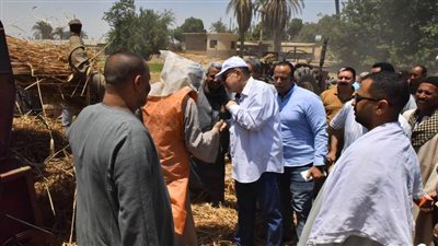 محافظ أسيوط: الانتهاء من حصاد المساحة المنزرعة بالقمح على مستوى المحافظة