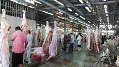 محافظ الجيزة: فتح المجازر بالمجان طوال أيام عيد الأضحى المبارك