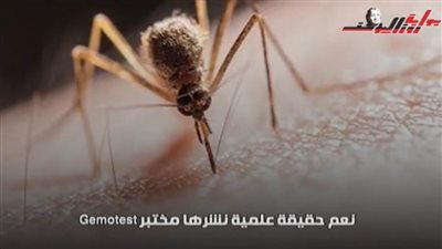 البعوض لا يلدغ كل الناس.. تعرَّف هل أنت فريسة للبعوض؟