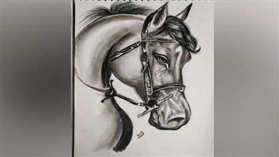 مواهب شابة تدعمها بوابة روزاليوسف بريشة الفنان أنس أحمد النمس (27)