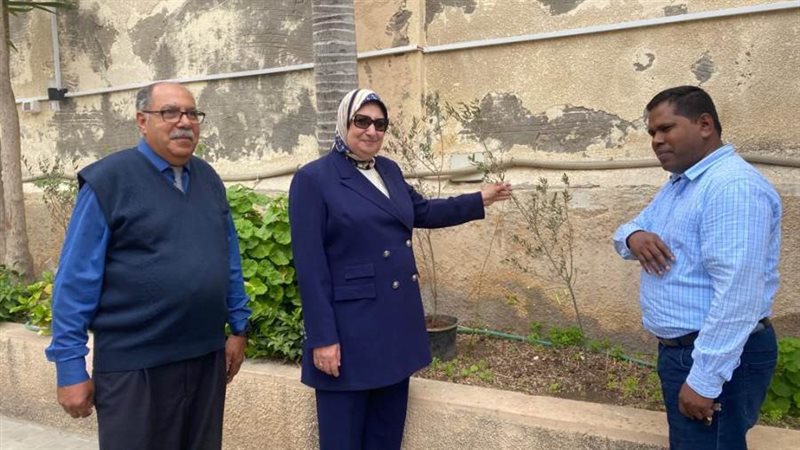 رييس حي غرب بالاسكندرية