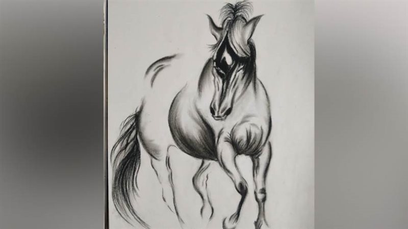 ريشة - أنس أحمد النمس