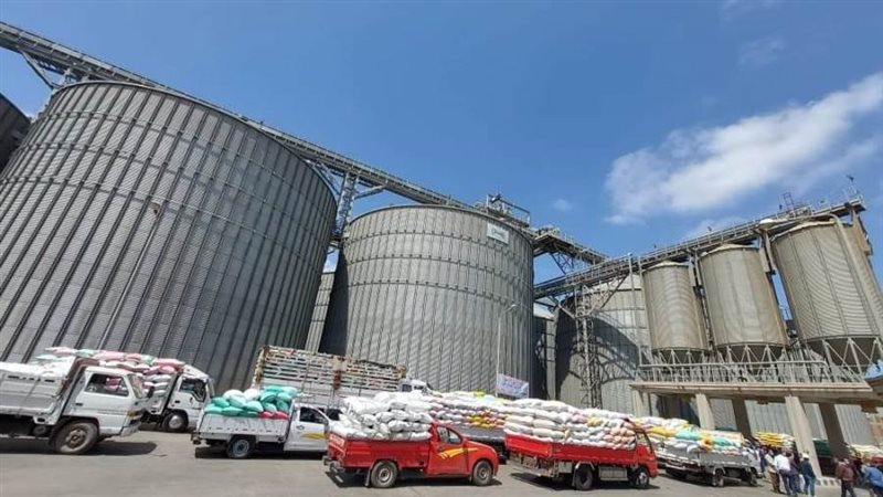 توريد 366 ألف طن