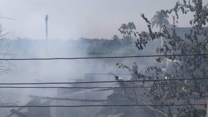 نفوق 25 رأس ماشية