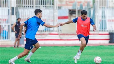 تفادي الهبوط في الدوري الألماني والزمالك يواجه الاتحاد السكندري