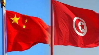 مذكرة تفاهم بين تونس والصين لاستكمال الأبحاث لموقع أثري بولاية بن عروس