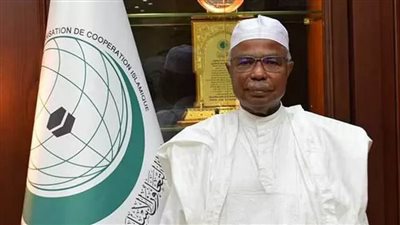 أمين التعاون الإسلامي: رعاية الرئيس السيسي لمؤتمر التنمية الاجتماعية تؤكد اهتمام مصر بهذه القضايا