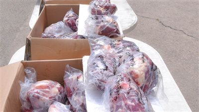 محافظ الإسكندرية يوجه بتوزيع ٢ طن لحوم صكوك أضاحي على القرى الأكثر احتياجًا