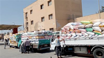 شون وصوامع كفر الشيخ تستقبل 190645 طنا و68 كيلو قمح محلي
