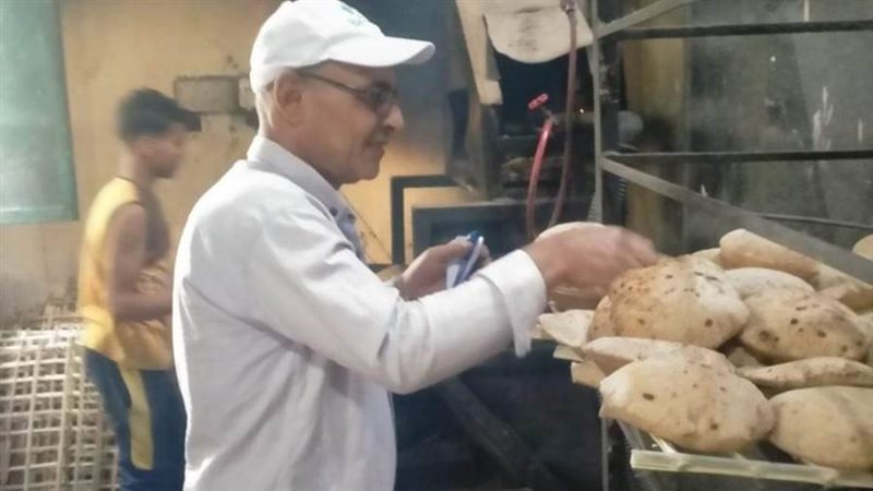 حملات تموينية متنوعة