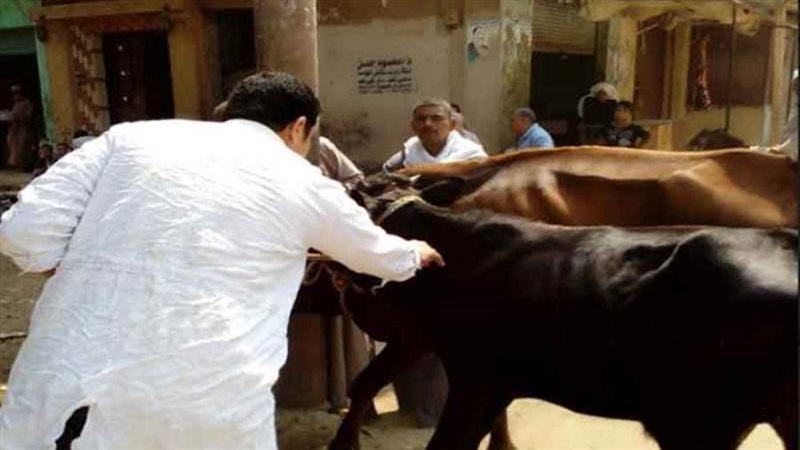 صورة ارشيفية