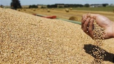 موسكو تهدد بإنهاء اتفاقية تصدير الحبوب بعد انفجار خط أمونيا