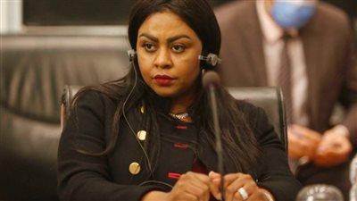 إفريقية النواب: القارة السمراء على قمة أولويات السياسة الخارجية المصرية 