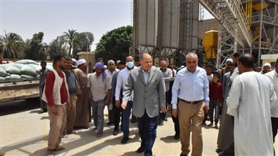 محافظ أسيوط يؤكد انتظام عمليات توريد القمح واستلام 108 آلاف و970 طن قمح