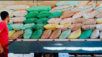 توريد 247 ألفًا و41 طنًا و253 كيلو قمح بنسبة توريد 88.43%