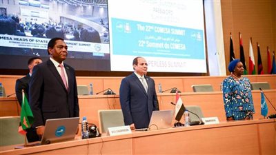  مصر وزامبيا تقودان التنمية في دول الكوميسا.. و