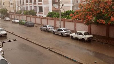 أمطار ورياح محملة بالرمال والأتربة وطقس غير مستقر بالمنيا 
