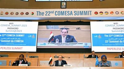 السيسي يشيد بالدور الحيوي لكينيا في تعزيز الاستقرار بأفريقيا