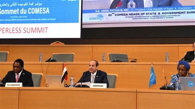 الرئيس السيسي يؤكد حرص مصر على تعزيز التعاون مع مالاوي في مختلف المجالات