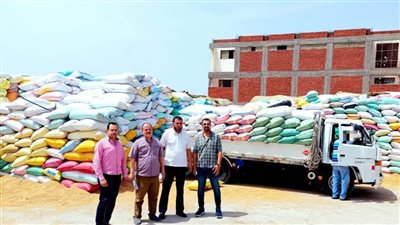 ضبط 300 طن قمح خلال الحملات التموينية بالبحيرة