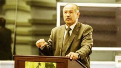 محمد الأمين: كرة اليد في عهد الرئيس السيسي تحلق في العالمية