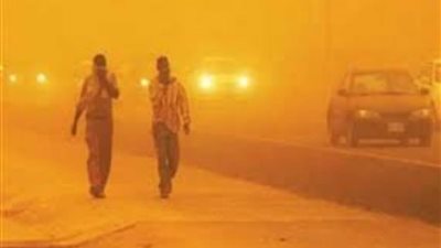 عواصف ترابية وارتفاع شديد في درجات الحرارة في الوادي الجديد