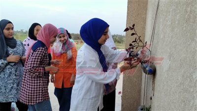 زراعة الأسطح والتوعية بأخطار استخدام البلاستيك بكفر الشيخ