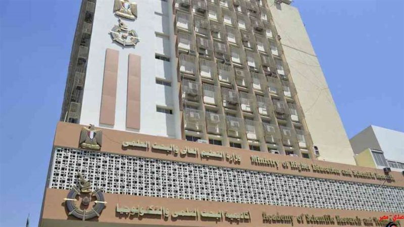 التعليم العالي